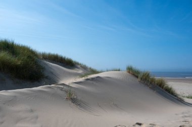 Hollanda 'daki Kuzey Denizi kıyısında, deniz kenarındaki kumulların üzerinde mavi bir gökyüzü var.