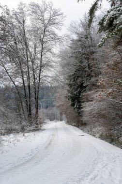 Çok karlı bir arazide tarla yolu.