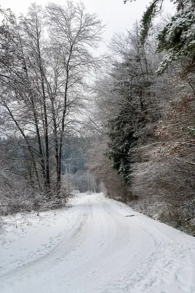 Çok karlı bir arazide tarla yolu.