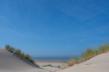 Hollanda 'daki Kuzey Denizi kıyısında, deniz kenarındaki kumulların üzerinde mavi bir gökyüzü var.