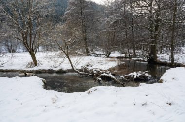 Kunduzlar tarafından inşa edilen küçük baraj, küçük bir su kütlesini tahta ve karla kaplıyor.