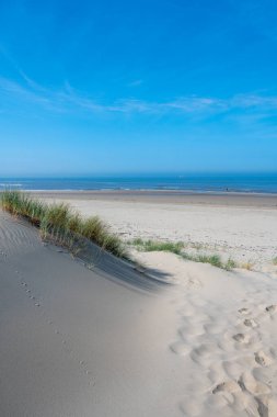 Hollanda 'daki Kuzey Denizi kıyısında, deniz kenarındaki kumulların üzerinde mavi bir gökyüzü var.