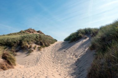 Hollanda 'nın Kuzey Denizi kıyısındaki kumlu bir arazide bir patika.