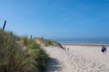 Hollanda 'daki Kuzey Denizi kıyısında, deniz kenarındaki kumullara bak. İnsanlar ve mavi gökyüzü.