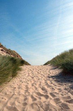 Hollanda 'nın Kuzey Denizi kıyısındaki kumlu bir arazide bir patika.