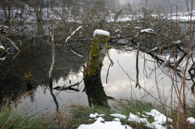 A tree trunk  in the water of a lake, covered with snow and with reflections in the water clipart