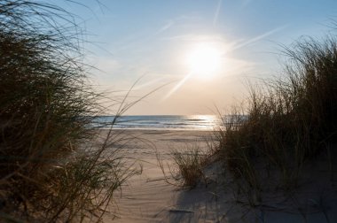 Gün batımında Hollanda 'da Kuzey Denizi kıyısında, deniz kenarındaki kumulların üzerinden görüş bulanıklaşır.