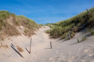 Hollanda 'nın Kuzey Denizi kıyısında kumsal çimleri ve dikenli tel çitlerle kaplı kum manzarası