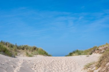Hollanda 'nın Kuzey Denizi kıyısındaki kumlu bir arazide bir patika.