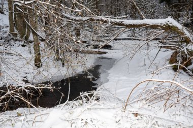 Ağaçlı, karlı bir arazide, yarı donmuş bir dere.
