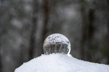 Glass ball lying in the snow on a cold winter day, with reflections of snow-covered trees  in the glass clipart