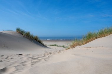 Hollanda 'daki Kuzey Denizi kıyısında, deniz kenarındaki kumulların üzerinde mavi bir gökyüzü var.