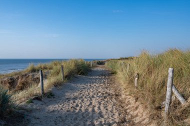 Hollanda 'daki Kuzey Denizi kıyısında çitleri ve plaj çimleriyle kaplı kumlu bir arazide bir patika.