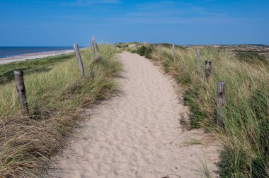 Hollanda 'daki Kuzey Denizi kıyısında çitleri ve plaj çimleriyle kaplı kumlu bir arazide bir patika.