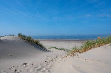 Hollanda 'daki Kuzey Denizi kıyısında, deniz kenarındaki kumulların üzerinde mavi bir gökyüzü var.