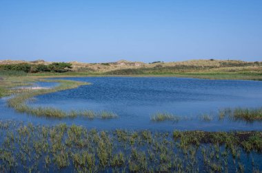 Hollanda, Avrupa 'da Egmond aan Zee yakınlarındaki kumul doğa rezervinde küçük bir göl