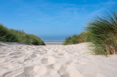 Hollanda 'daki Kuzey Denizi kıyısında, deniz kenarındaki kumulların üzerinde mavi bir gökyüzü var.