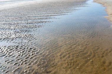 Dalgalanma izleri gelgitte, kumların altında, güneş ışığında.