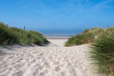 Hollanda 'daki Kuzey Denizi kıyısında, deniz kenarındaki kumulların üzerinde mavi bir gökyüzü var.