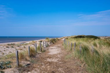 Hollanda 'daki Kuzey Denizi kıyısında çitleri ve plaj çimleriyle kaplı kumlu bir arazide bir patika.