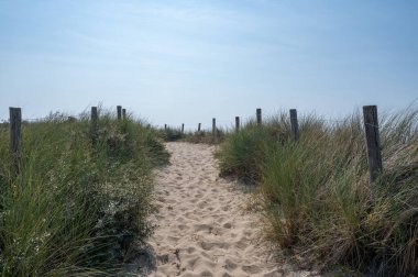 Hollanda 'daki Kuzey Denizi kıyısında çitleri ve plaj çimleriyle kaplı kumlu bir arazide bir patika.