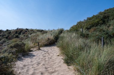 Hollanda 'daki Kuzey Denizi kıyısında çitleri ve plaj çimleriyle kaplı kumlu bir arazide bir patika.