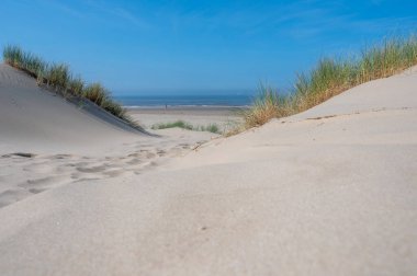 Hollanda 'daki Kuzey Denizi kıyısında, deniz kenarındaki kumulların üzerinde mavi bir gökyüzü var.