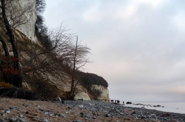 Ruegen, Mecklenburg-Batı Pomerania, Almanya ve Avrupa 'daki Baltık Denizi' ndeki tebeşir kayalıkları. İnsanlar kumsalda yürürken