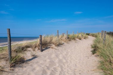 Hollanda 'daki Kuzey Denizi kıyısında çitleri ve plaj çimleriyle kaplı kumlu bir arazide bir patika.