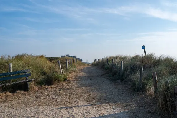Hollanda 'da Egmond aan Zee' de Kuzey Denizi kıyısında çitleri ve plaj çimlerini olan kumlu bir arazide bir patika.