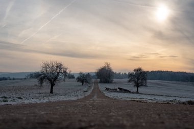 Country road in a cold, icy landscape at sunrise with trees clipart