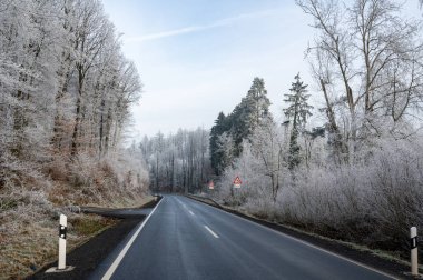 Soğuk bir kış gününde buzlu orman ağaçlarıyla dolu boş bir kır yolu.