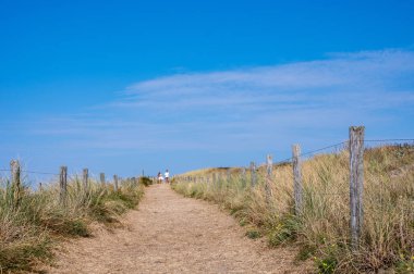 Hollanda 'daki Kuzey Denizi kıyısında çitleri ve plaj çimleriyle kaplı kumlu bir arazide bir patika.