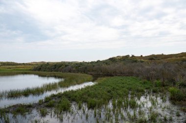 Hollanda, Avrupa 'da Egmond aan Zee yakınlarındaki kumul doğa rezervinde küçük bir göl