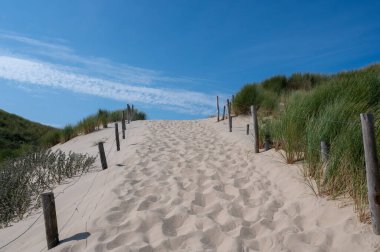 Hollanda 'nın Kuzey Denizi kıyısındaki kumlu bir arazide dikenli tellerle çevrili bir patika.