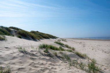 Hollanda 'nın Kuzey Denizi kıyısındaki kumsal, deniz ve kum tepeleri