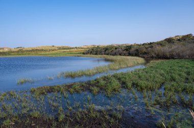 Hollanda, Avrupa 'da Egmond aan Zee yakınlarındaki kumul doğa rezervinde küçük bir göl