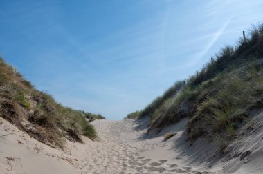 Hollanda 'nın Kuzey Denizi kıyısındaki kumlu bir arazide bir patika.