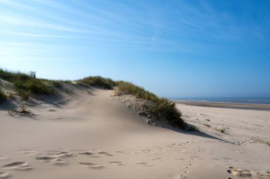 Hollanda 'nın Kuzey Denizi kıyısındaki kumsal, deniz ve kum tepeleri
