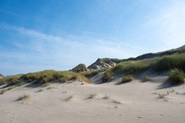 Hollanda 'nın Kuzey Denizi kıyısındaki kumsal çimleriyle kaplı kumul manzaraları