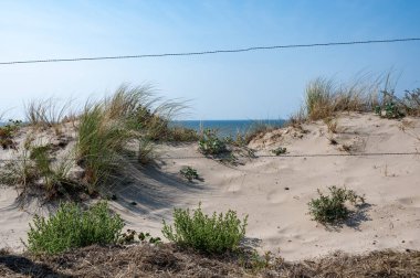 Hollanda 'nın Kuzey Denizi kıyısında kumsal çimleri, deniz ve dikenli tel çitlerle kaplı kum manzarası