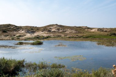 Hollanda, Avrupa 'da Egmond aan Zee yakınlarındaki kumul doğa rezervinde küçük bir göl