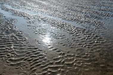 Dalgalanma izleri gelgitte, kumların altında, güneş ışığında.