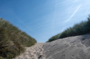 Hollanda 'nın Kuzey Denizi kıyısındaki kumlu bir arazide bir patika.