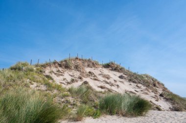 Hollanda 'nın Kuzey Denizi kıyısında kumsal çimleri ve dikenli tel çitlerle kaplı kum manzarası