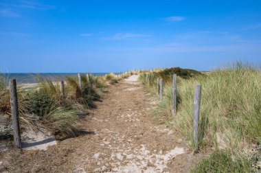 Hollanda 'daki Kuzey Denizi kıyısında çitleri, deniz ve sahil otları olan kumlu bir arazide bir patika.
