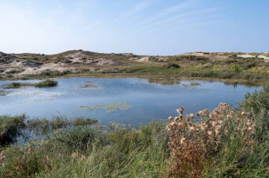 Hollanda, Avrupa 'da Egmond aan Zee yakınlarındaki kumul doğa rezervinde küçük bir göl