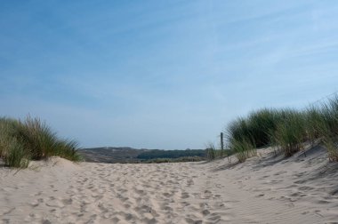 Hollanda 'nın Kuzey Denizi kıyısındaki kumlu bir arazide bir patika.