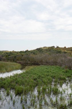 Hollanda, Avrupa 'da Egmond aan Zee yakınlarındaki kumul doğa rezervinde küçük bir göl