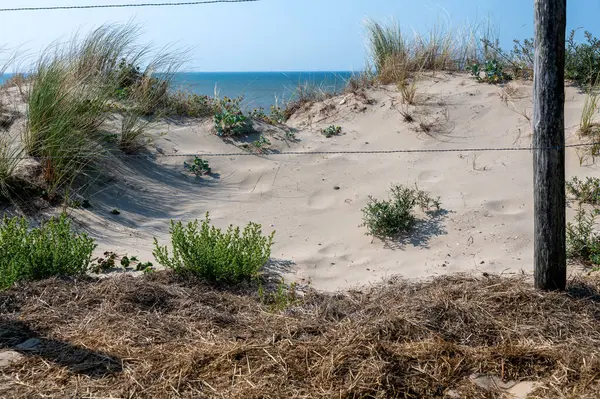Hollanda 'nın Kuzey Denizi kıyısında kumsal çimleri, deniz ve dikenli tel çitlerle kaplı kum manzarası